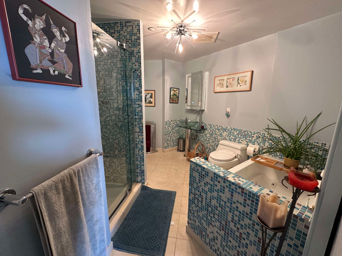Luxury 1-Bedroom, 1 Large Bath with Jacuzzi tub, close to several hospitals, steps from metro/bus, r - Photo 5
