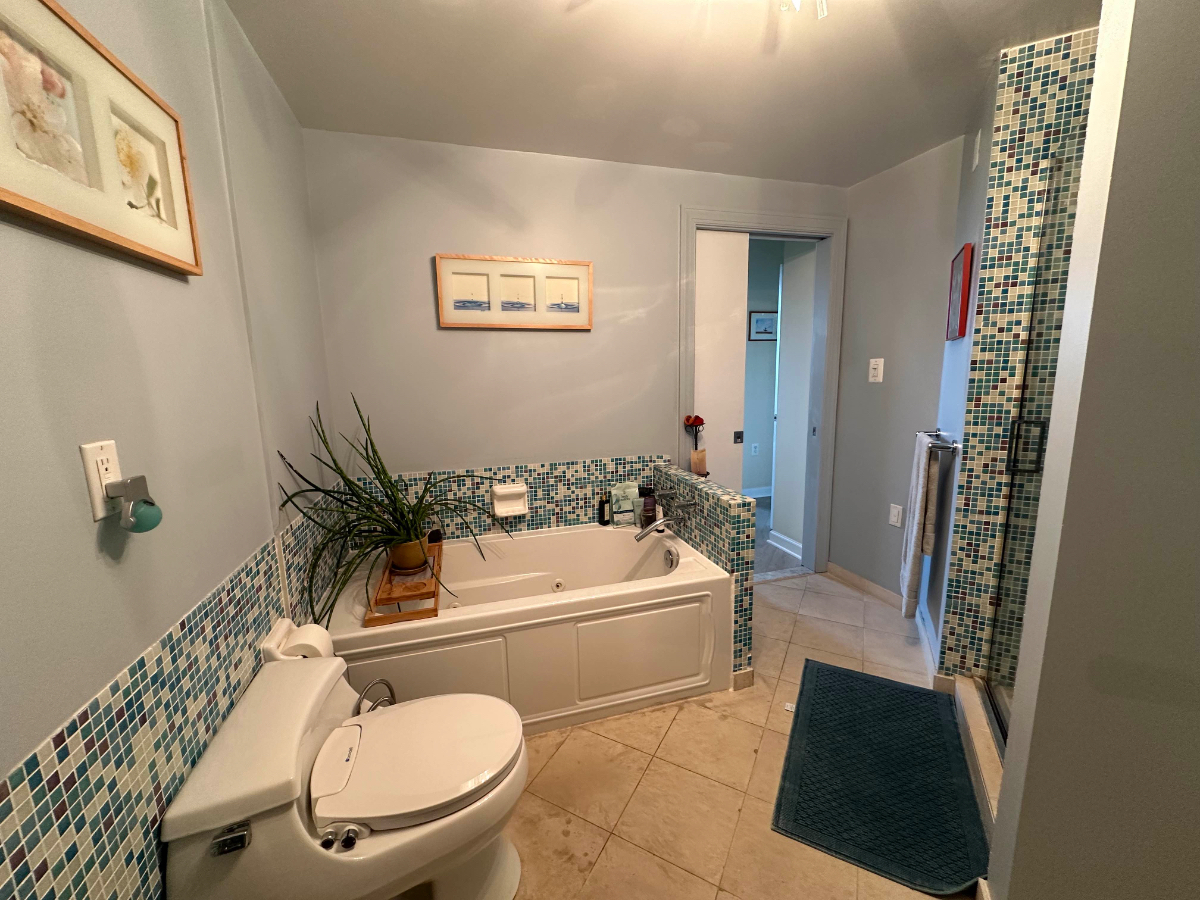 Luxury 1-Bedroom, 1 Large Bath with Jacuzzi tub, close to several hospitals, steps from metro/bus, r - Photo 3