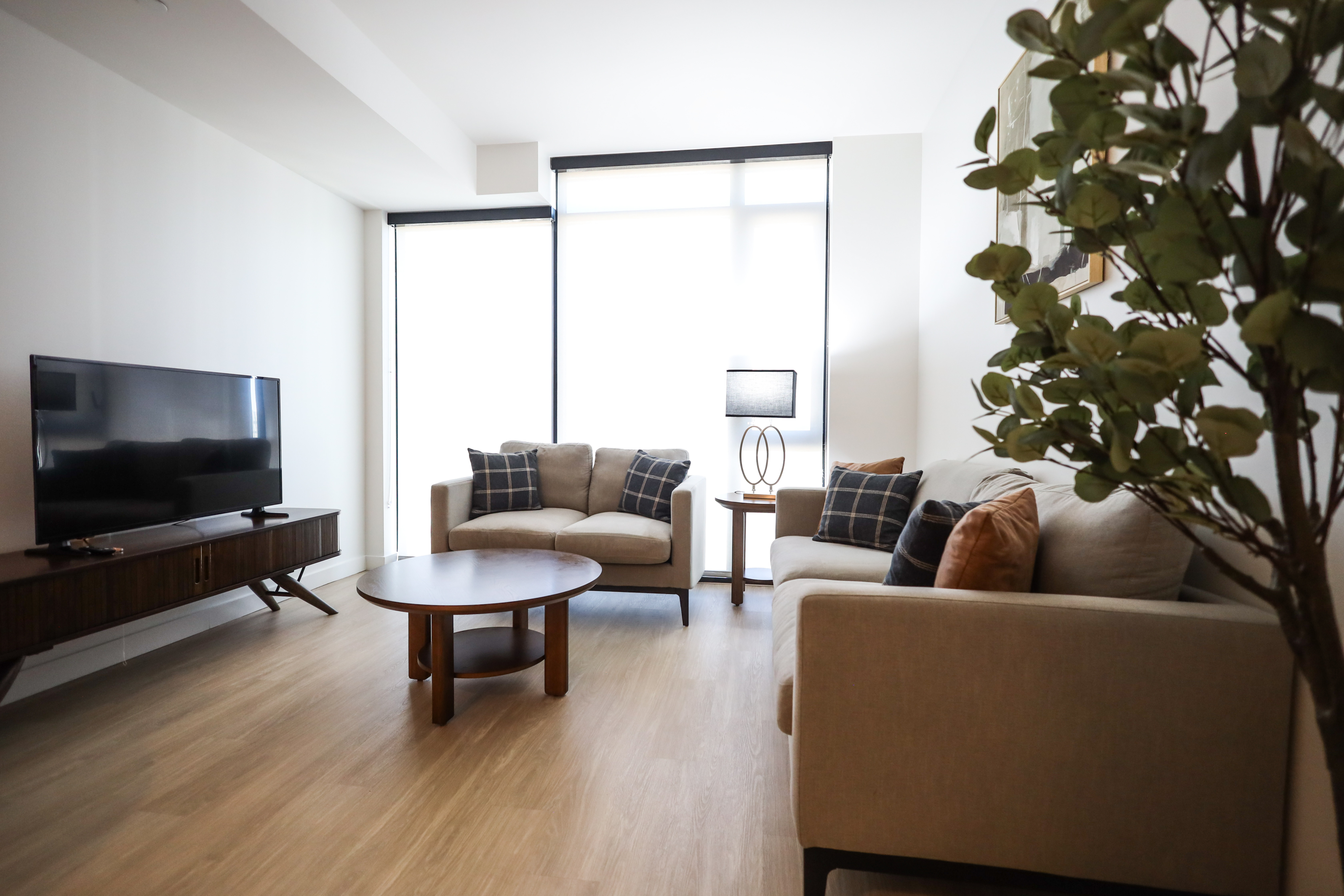 Radian 707 - Photo 3