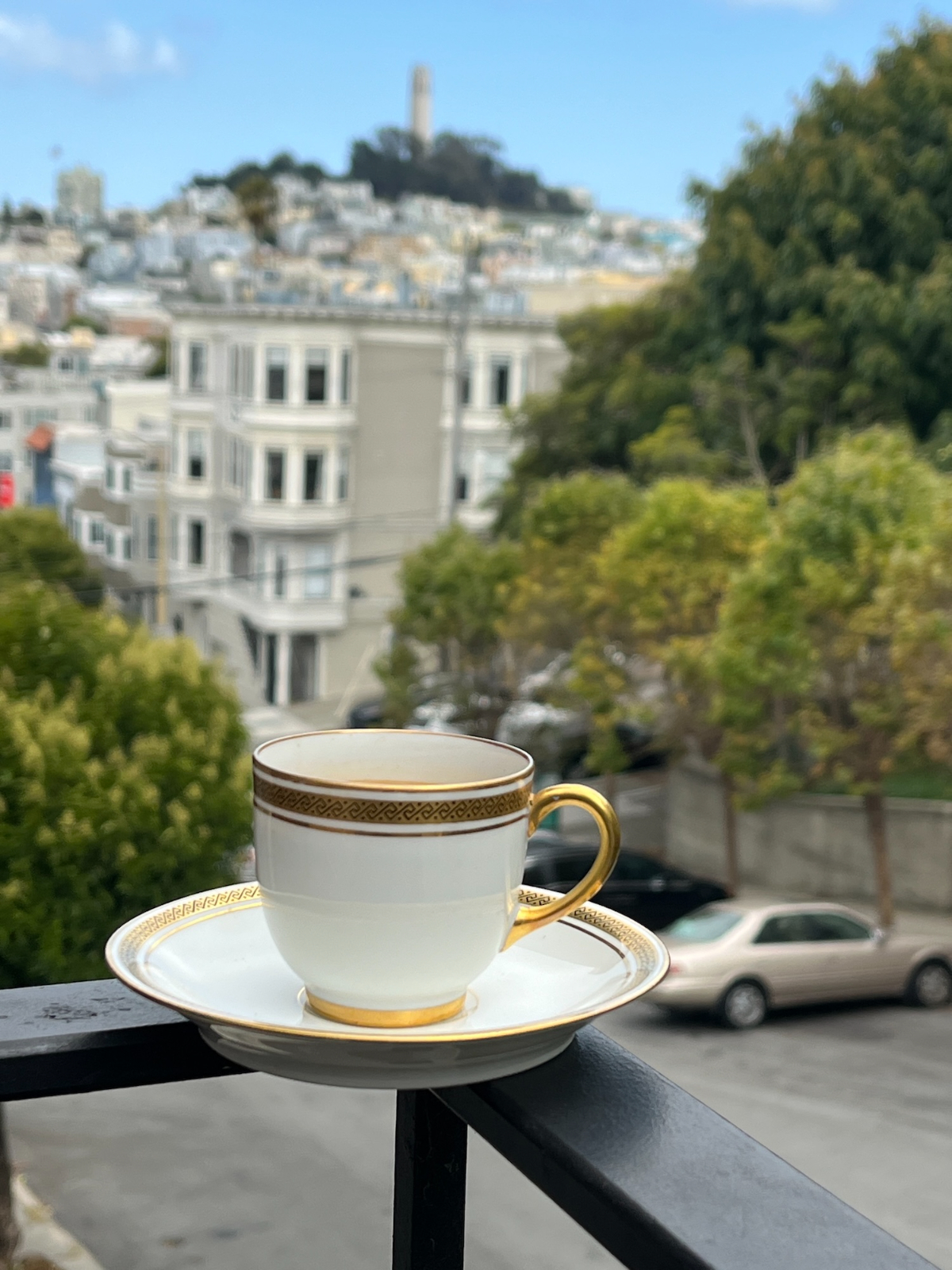 Spectacular Russian Hill VIEW two bedroom with two private decks - Photo 3