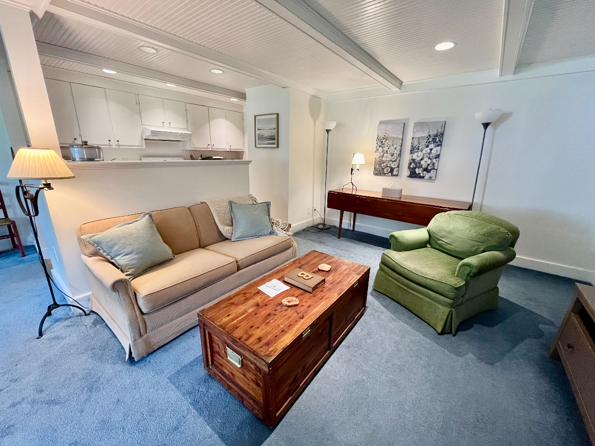 Spacious One Bedroom - Photo 6