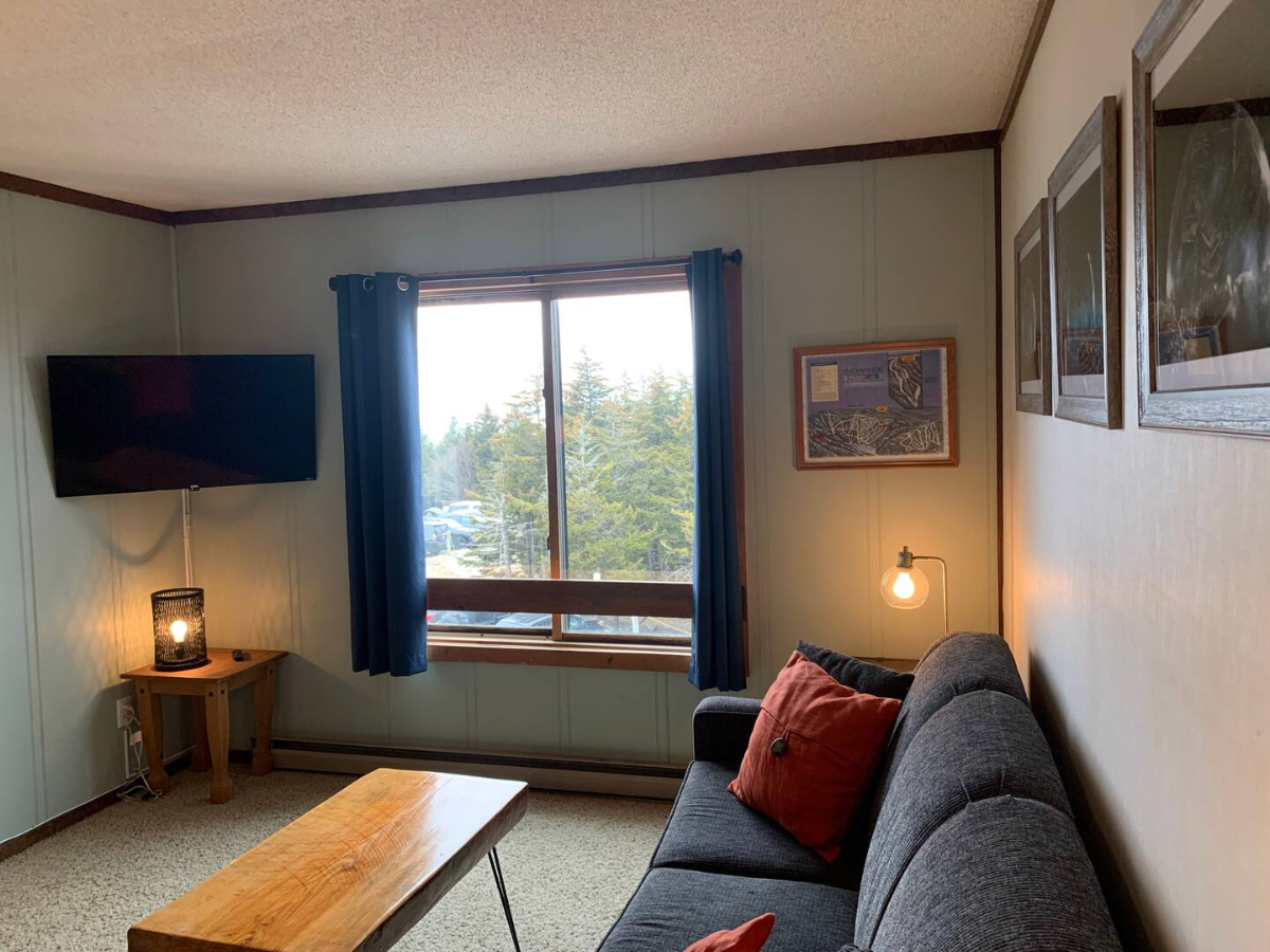 A Walk In the Clouds-Ski In/Out Condo at Snowshoe - Photo 4