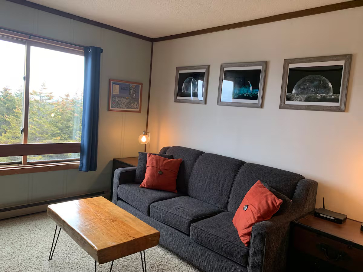 A Walk In the Clouds-Ski In/Out Condo at Snowshoe - Photo 3