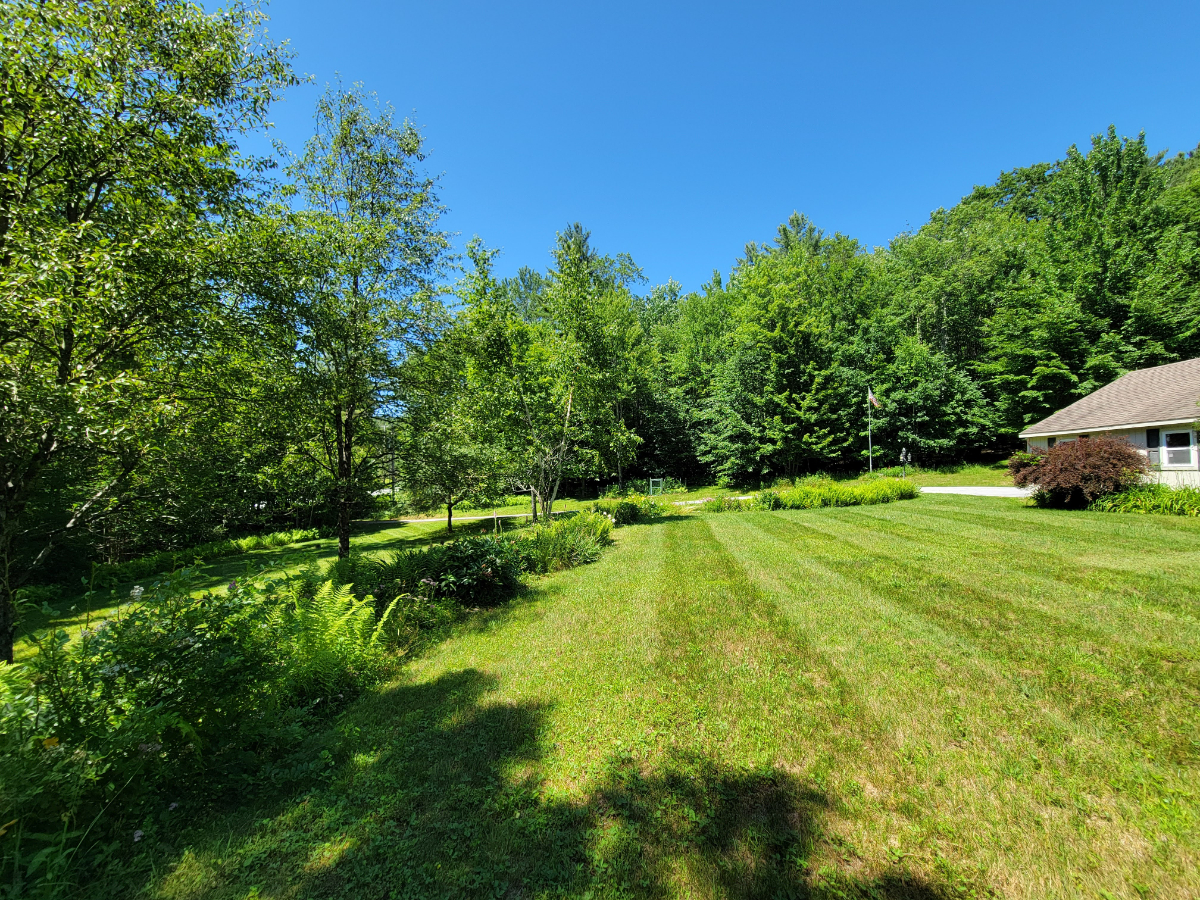 3 bdrm - Photo 6