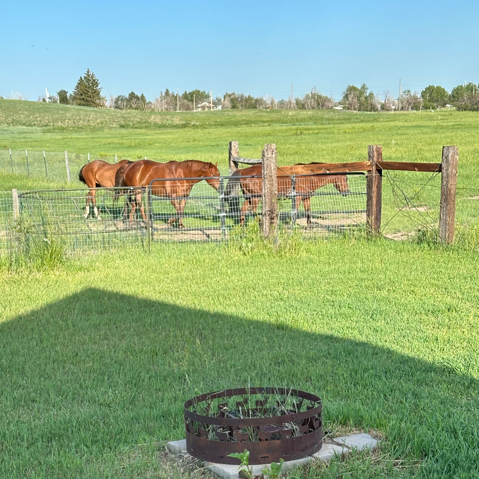 Little House on the Prairie - Photo 1