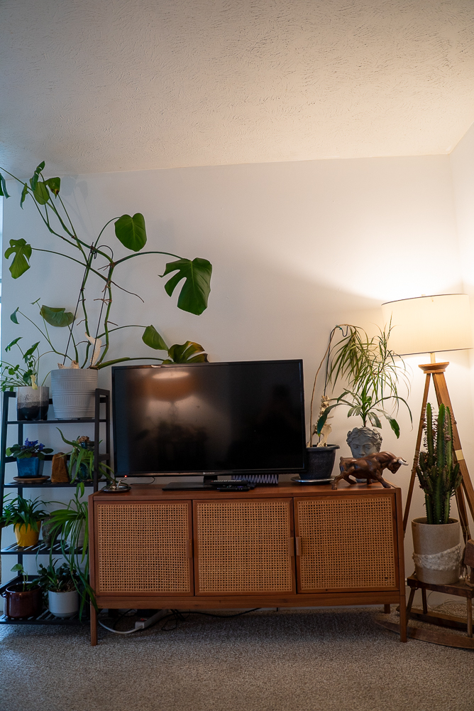 Three Bedroom Steps Away From Downtown - Photo 7