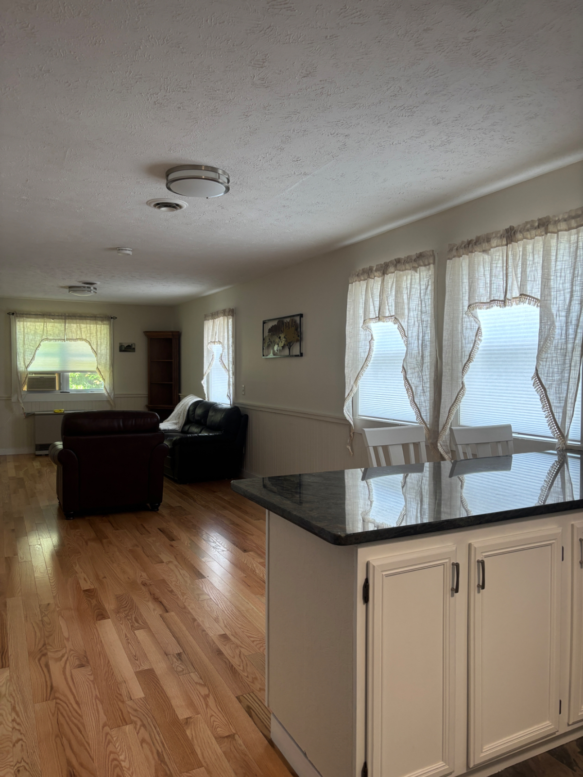 Beautiful Downtown Apartment - Photo 4