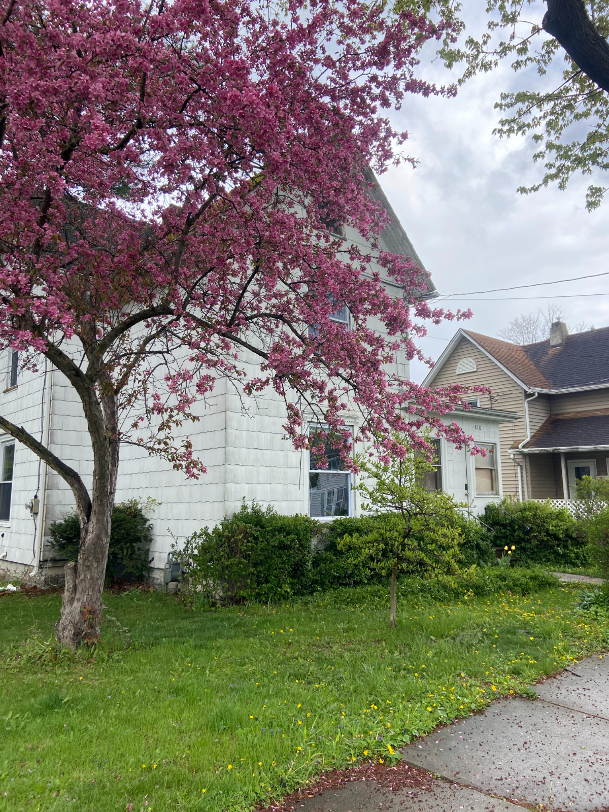 Fully furnished 1 or 2 bedrooms available, 1/2 mile from Arnot Ogden Medical Center - Photo 2