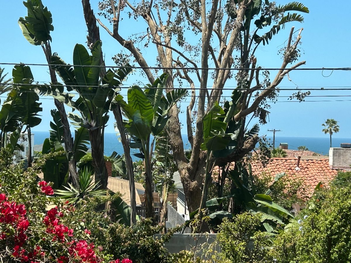 OCEAN VIEW 1BR 2BA in Playa Del Rey - Photo 1