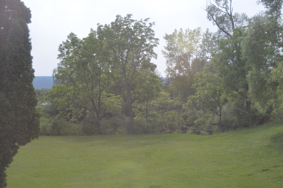 1BR/1BA in 1860s Farmhouse on 1.4 Acres with Pond - Photo 12