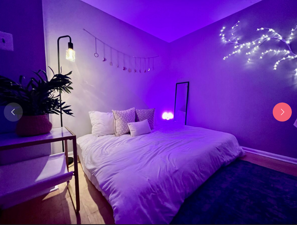 Cozy Charming Garden Apartment in Dupont - Photo 4
