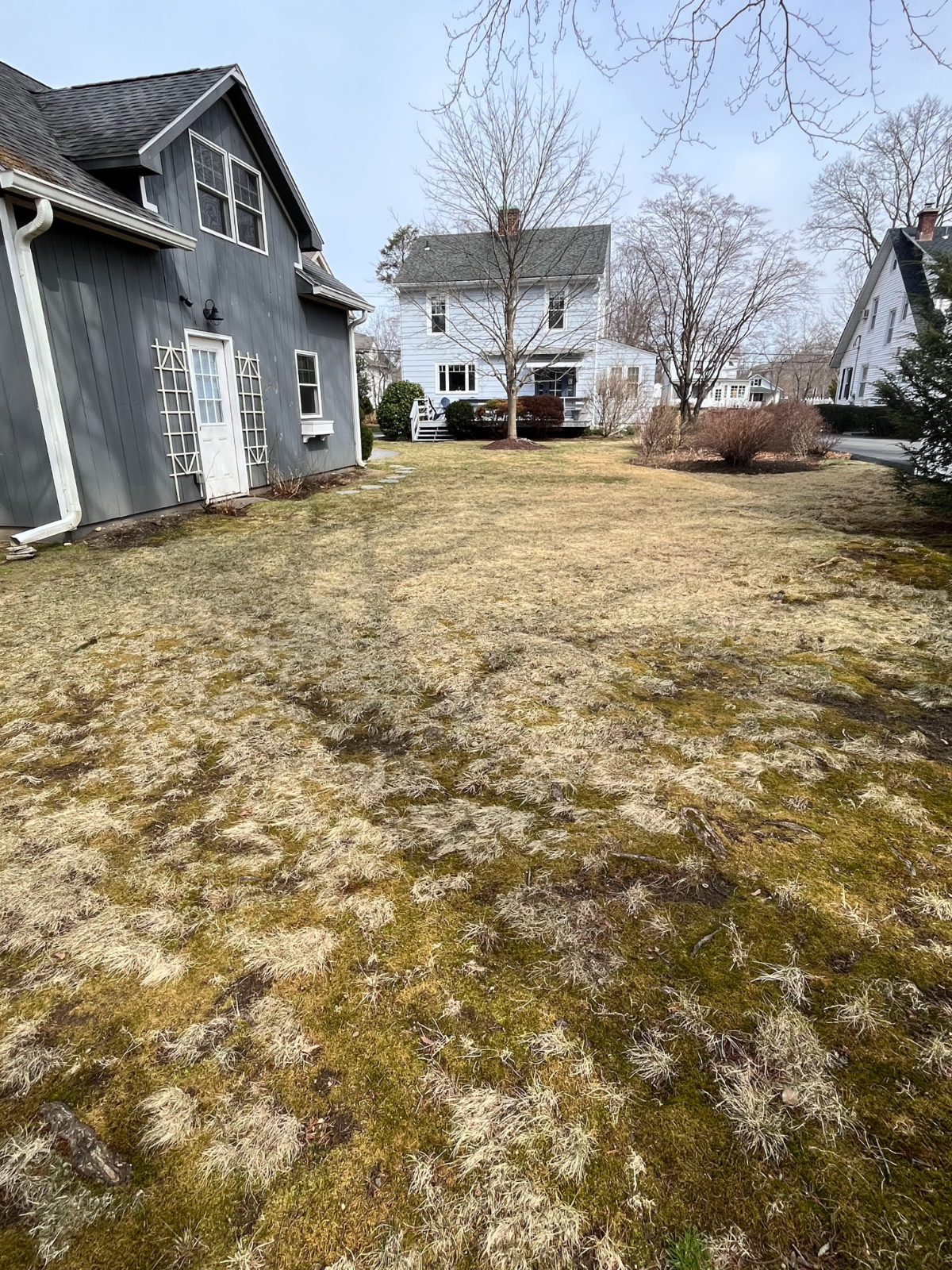 Charming Furnished Colonial with Walkable Amenities and Stylish Comfort - Photo 11