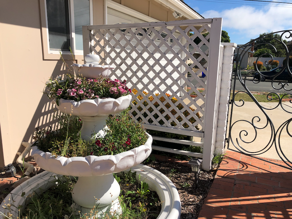 3bed/2bath Single Level, Fully Remodeled,Sky Lights, Back Yard - Photo 2