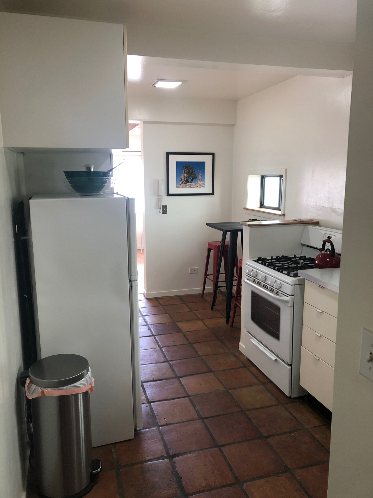 The HERB GARDEN Apartment - SAN FRANCISCO-PLEASE READ THE ENTIRE LISTING for this COMPLETE Apartment - Photo 6