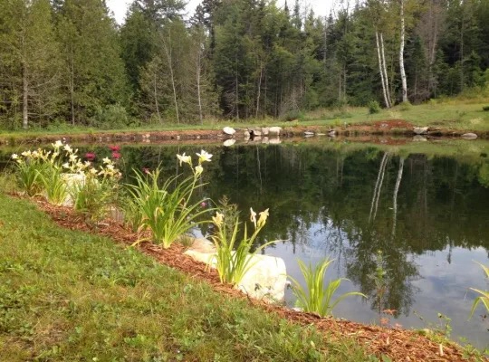 The Little House - Photo 2