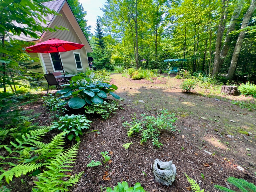 The Little House - Photo 4