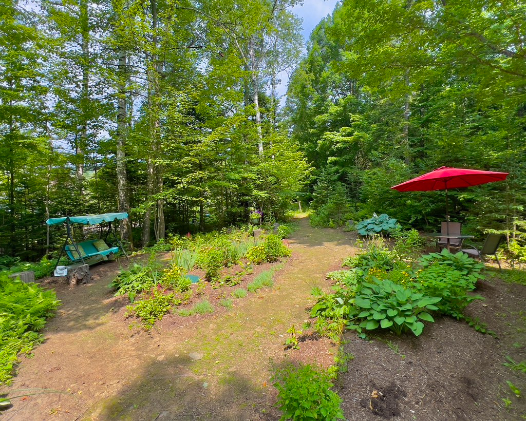 The Little House - Photo 3