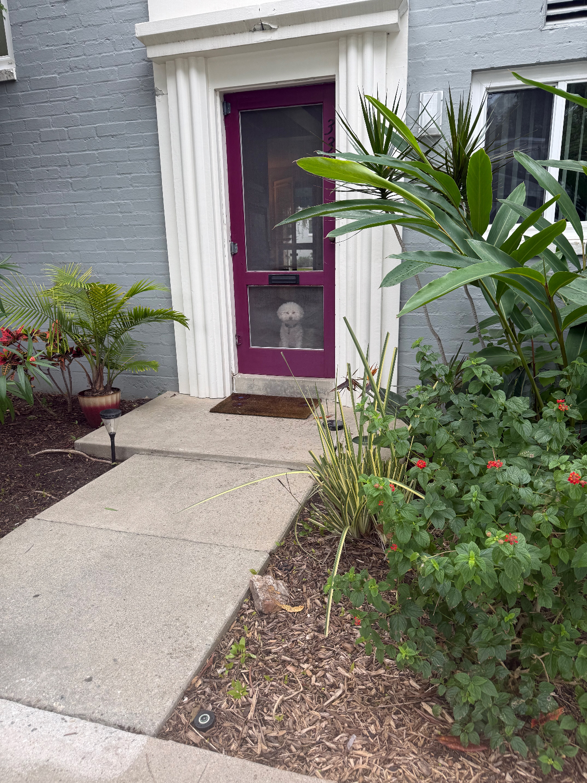 Walkable Furnished 1BR Near The Grove & Miracle Mile - Photo 3