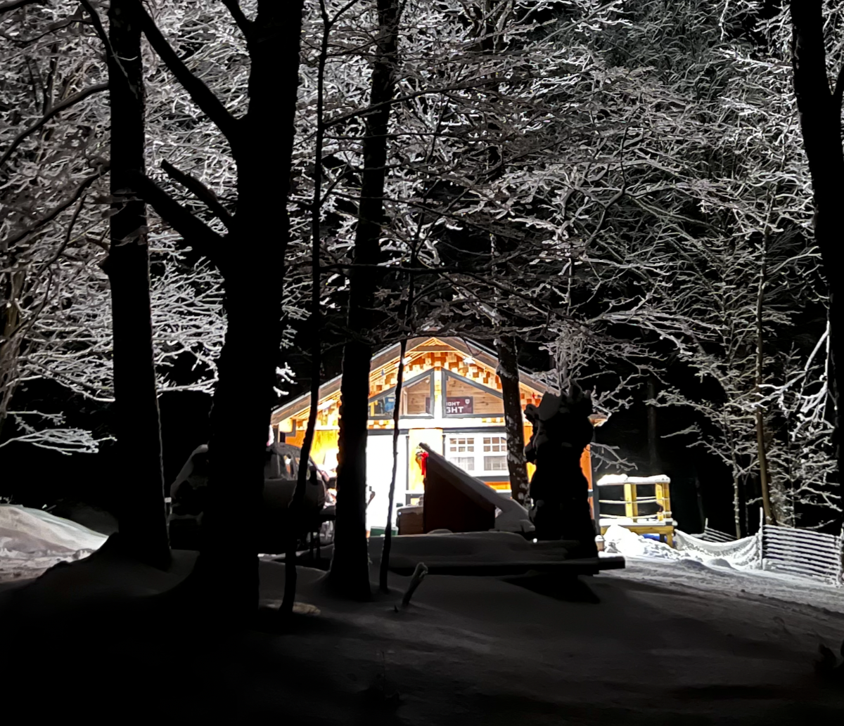 2BR Cabin - Brand New - Photo 1