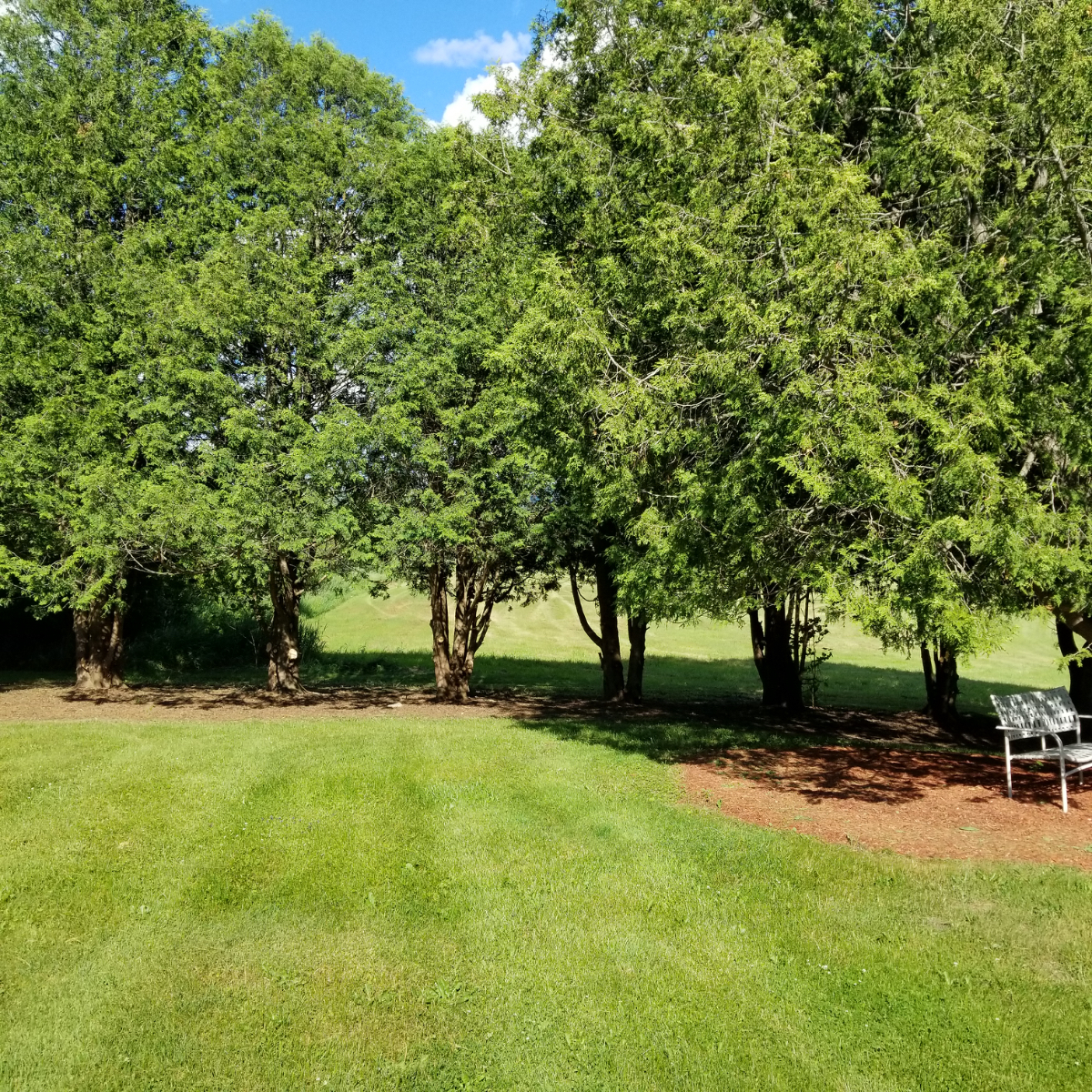 Charming One-Bedroom Apartment with Private Backyard and Modern Comforts - Photo 11