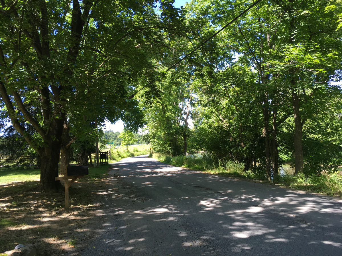 Retro Retreat by the Creek - Photo 3
