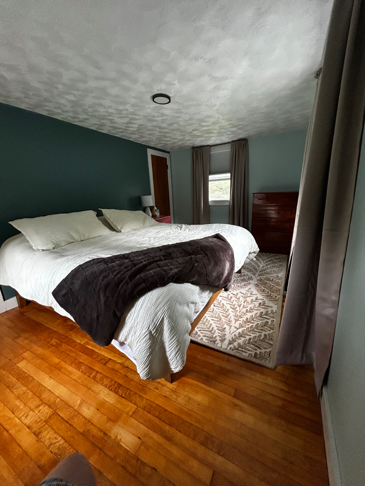 Sunny 2BR in quiet neighborhood with a large yard - Photo 2