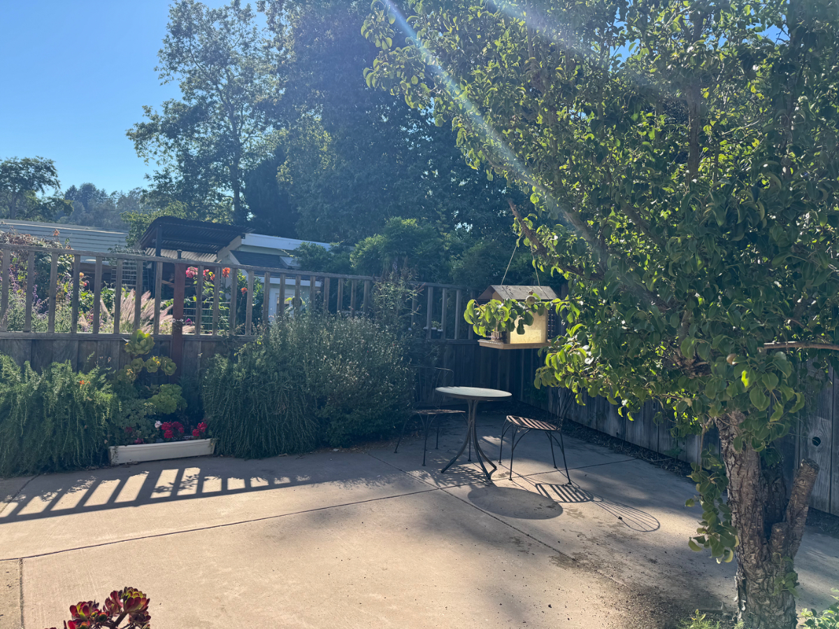 Sunny Corralitos Guest Unit 1Bedroom/1Bath w/ great room - Photo 1