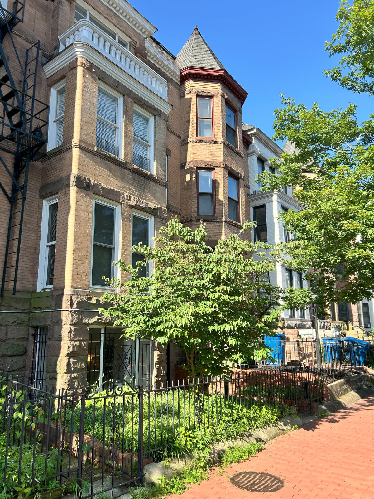 Dupont Circle Urban Oasis - Unit B1 - Photo 8