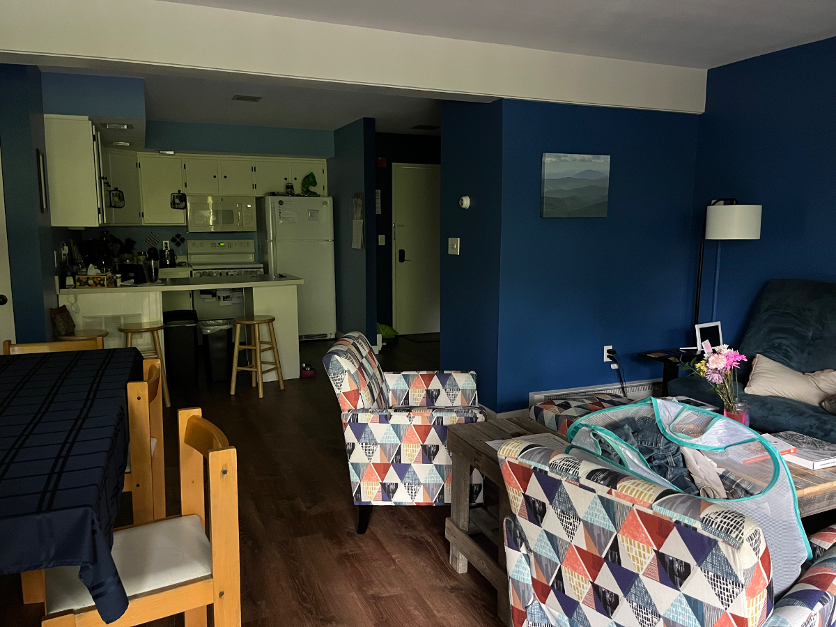 Ski condo between Rutland Regional Hospital and Killington Mountain - Photo 2