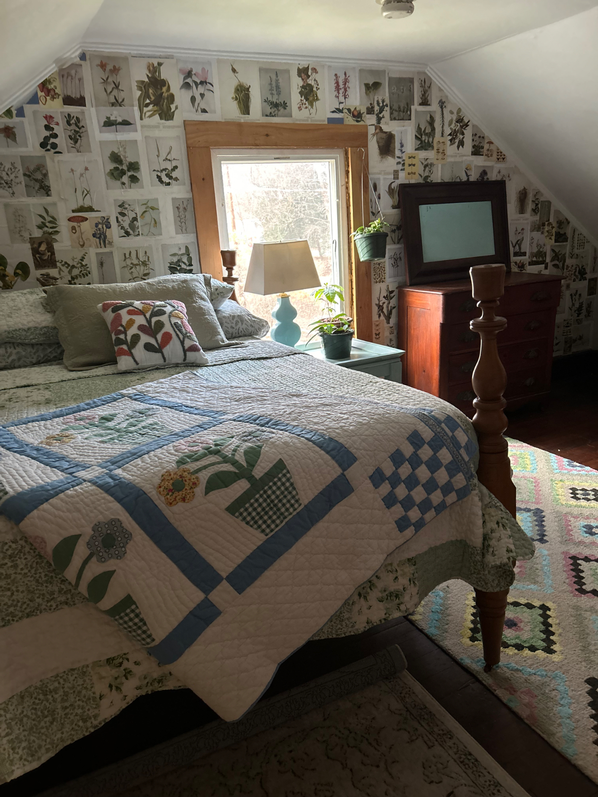 Farm Cottage pet friendly near SVMC - Photo 5