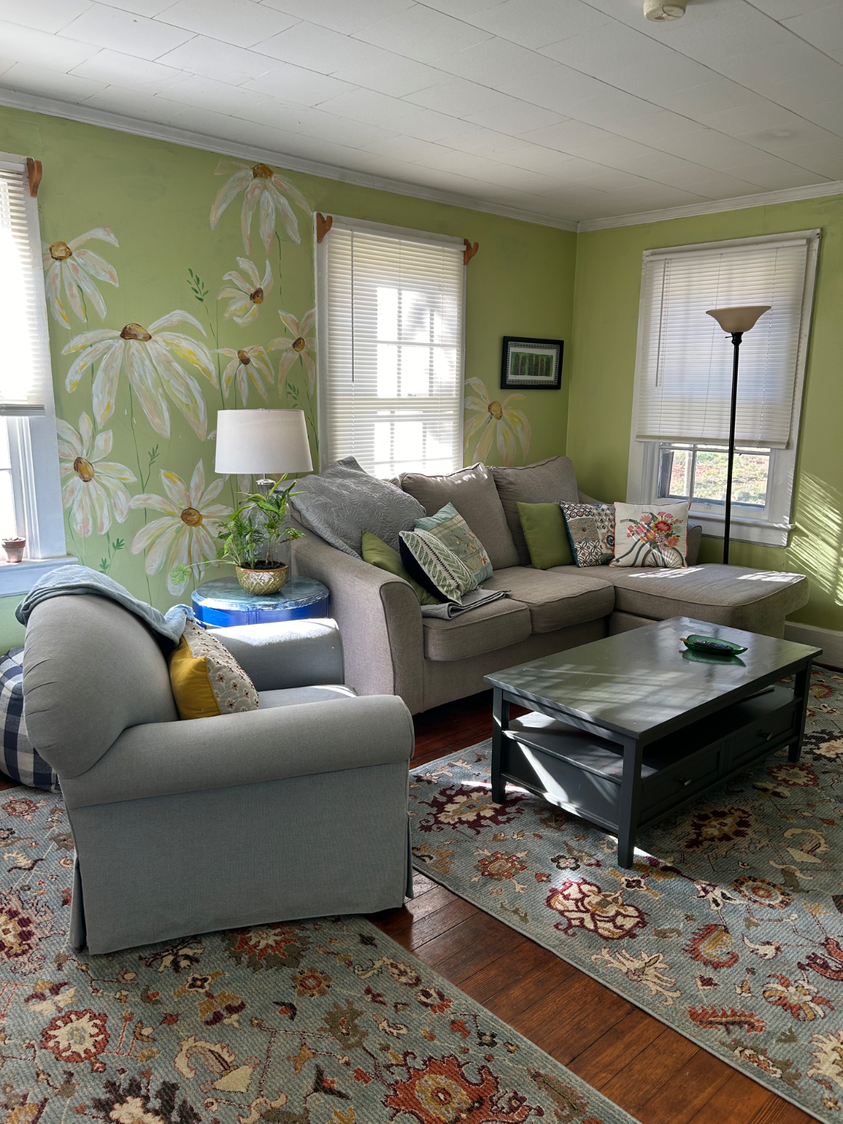 Farm Cottage pet friendly near SVMC - Photo 11