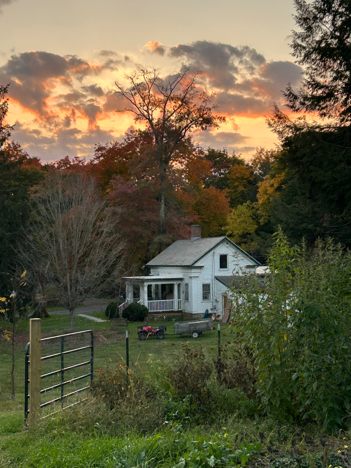 Farm Cottage pet friendly near SVMC - Photo 2