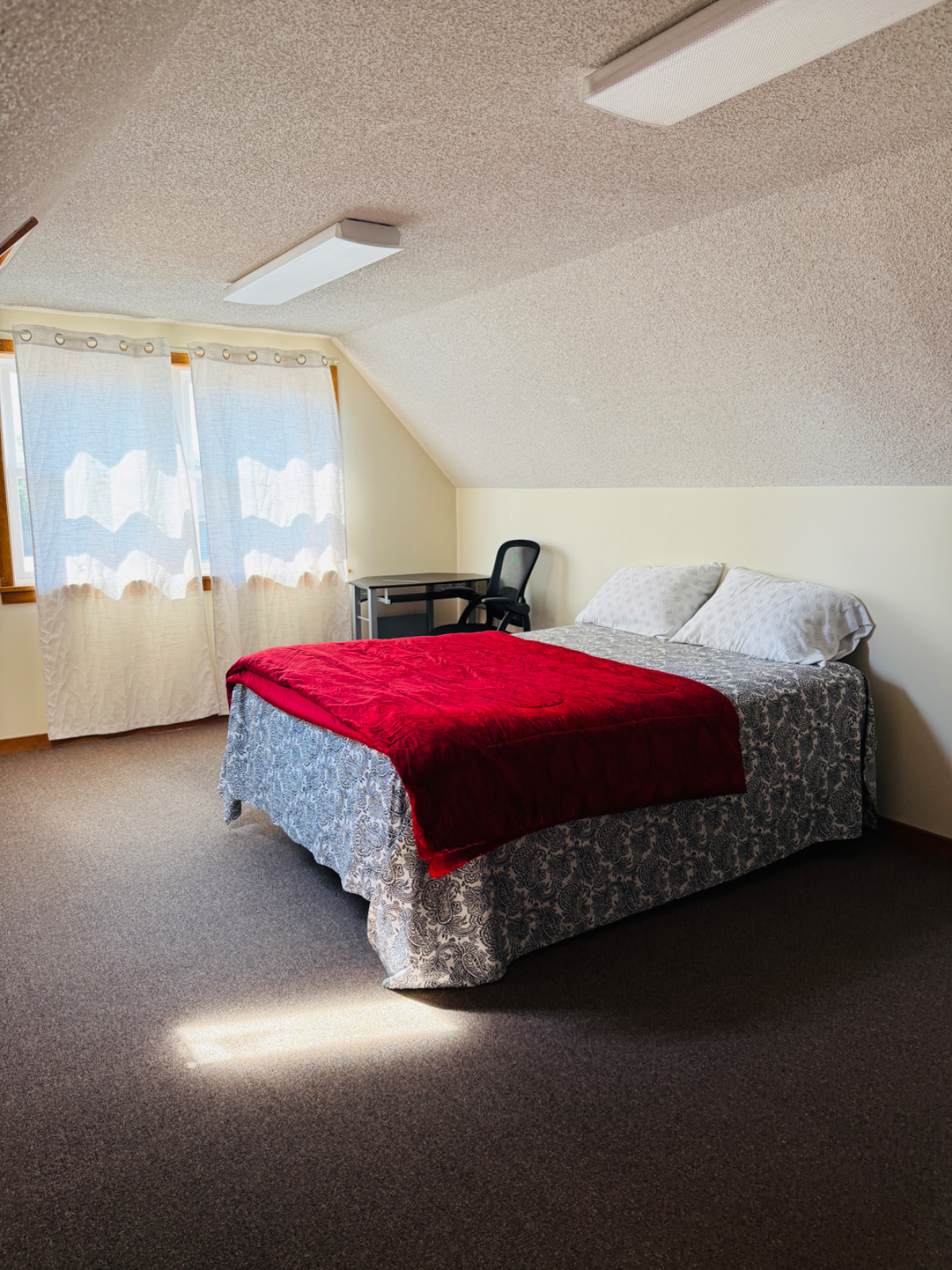 Nice, convenient 1 bedroom walking distance to everything - Photo 4