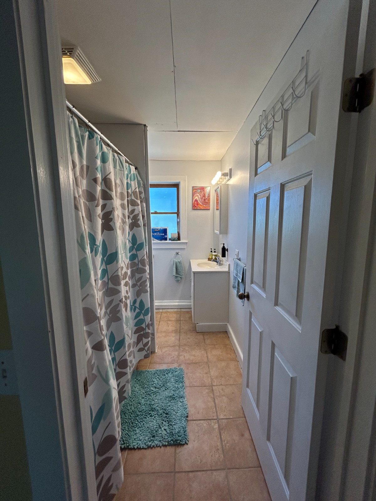 Cute 2 Bedroom Apt. 10 Mins from Porter - Photo 9