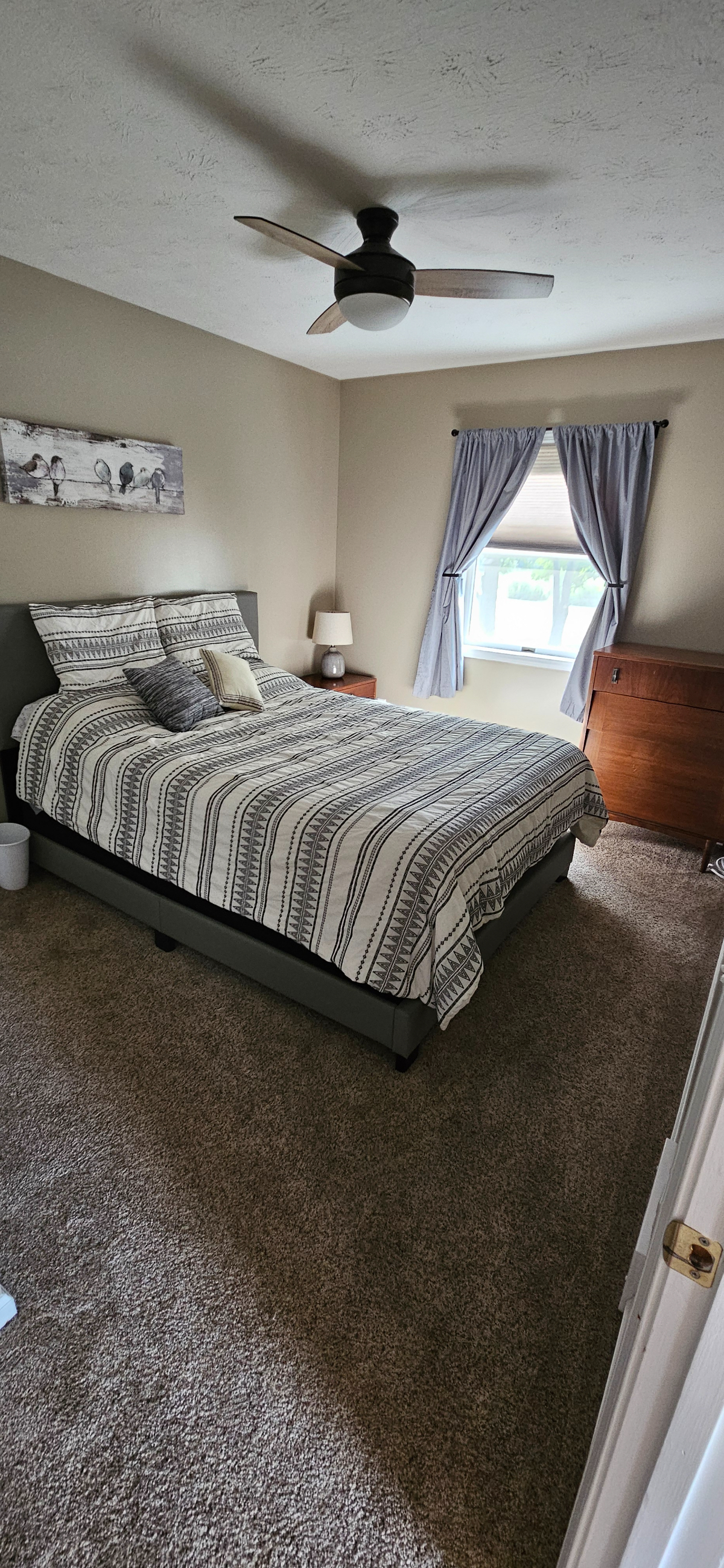 Quiet, Light - Filled One Bedroom Colonial Apartment - Private Patio, Minutes from Hospitals and Sh - Photo 5