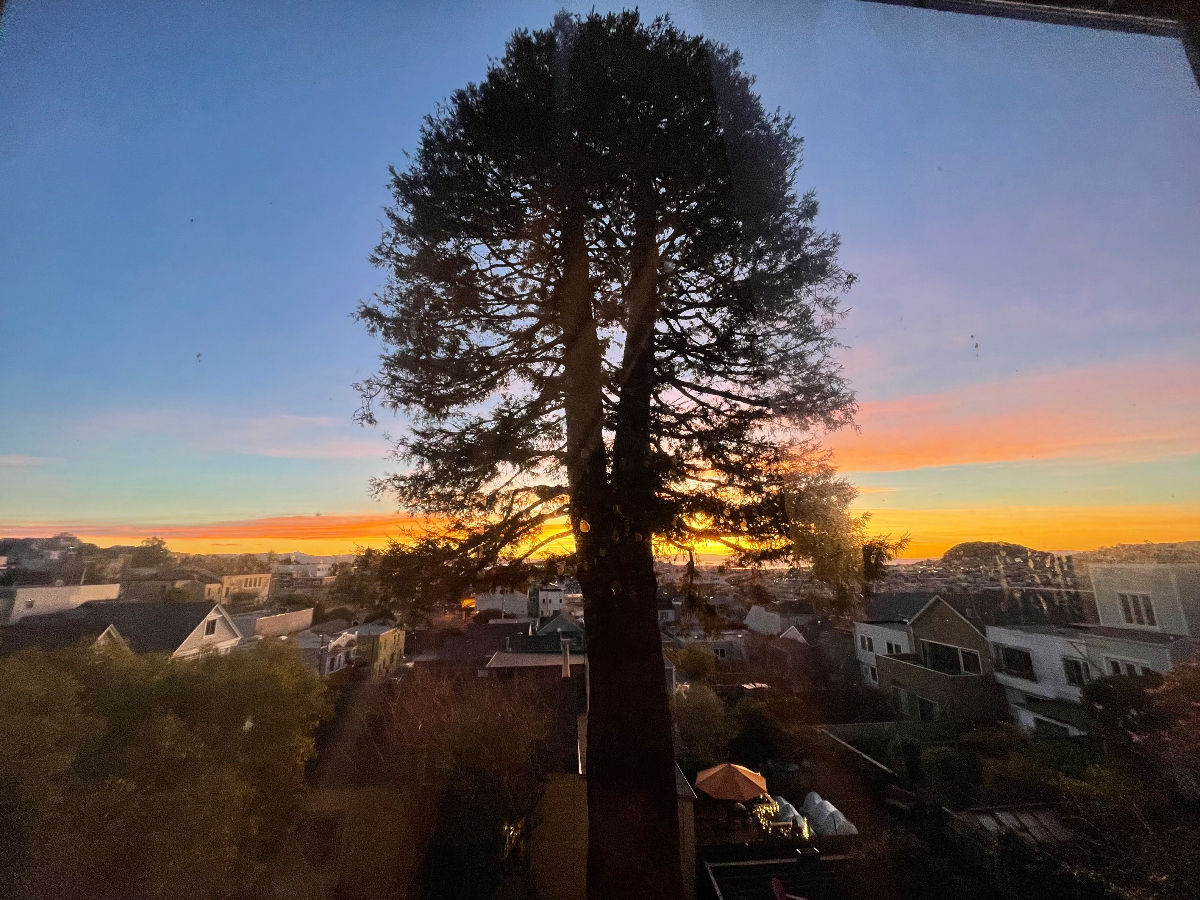 Exquisite Light-Filled, 2 floor, 3 bed w/bonus office/yoga rm, 1903 Victorian Home with Massive Redwood Tree - Photo 1