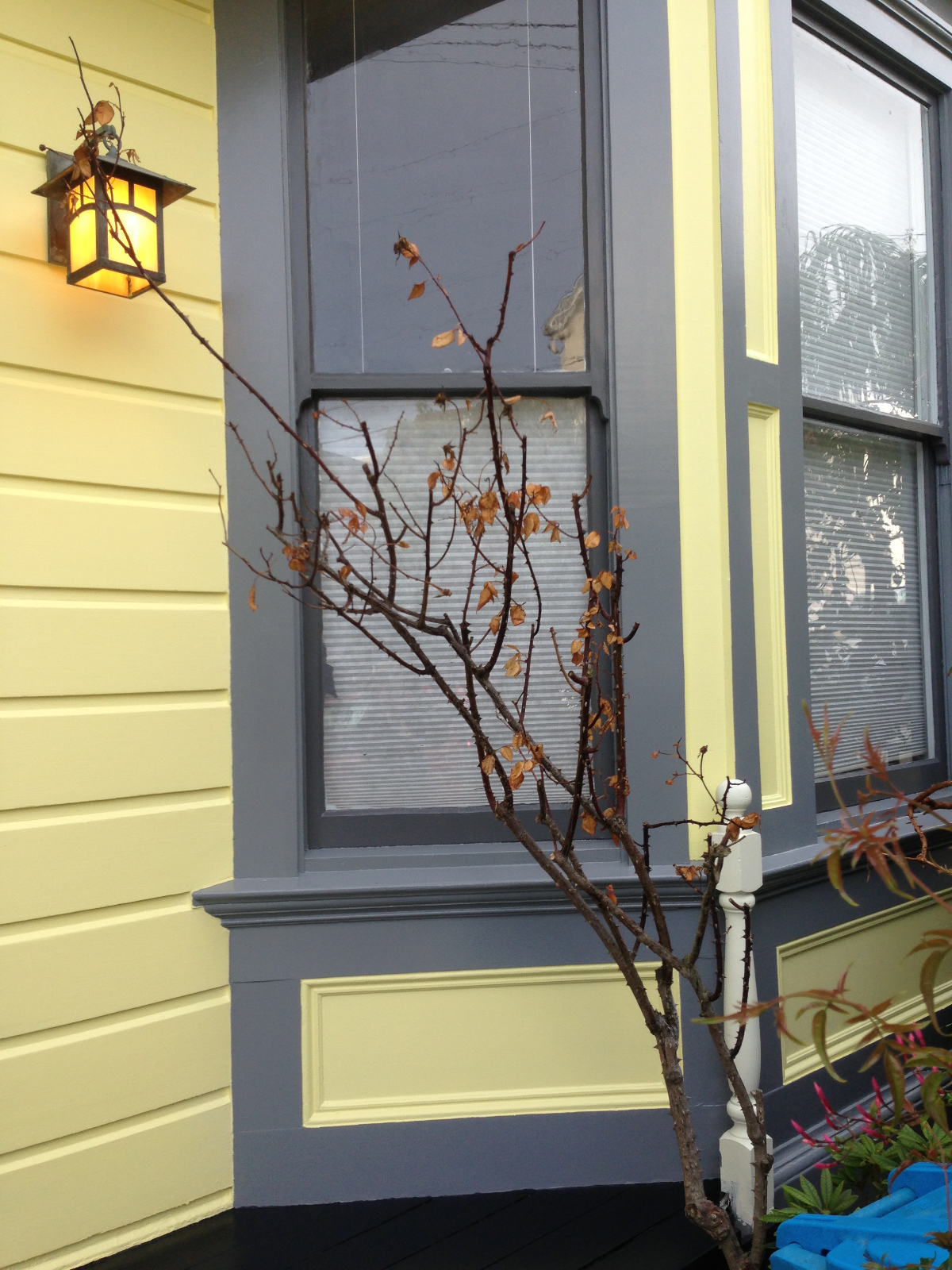 Exquisite Light-Filled, 2 floor, 3 bed w/bonus office/yoga rm, 1903 Victorian Home with Massive Redwood Tree - Photo 2