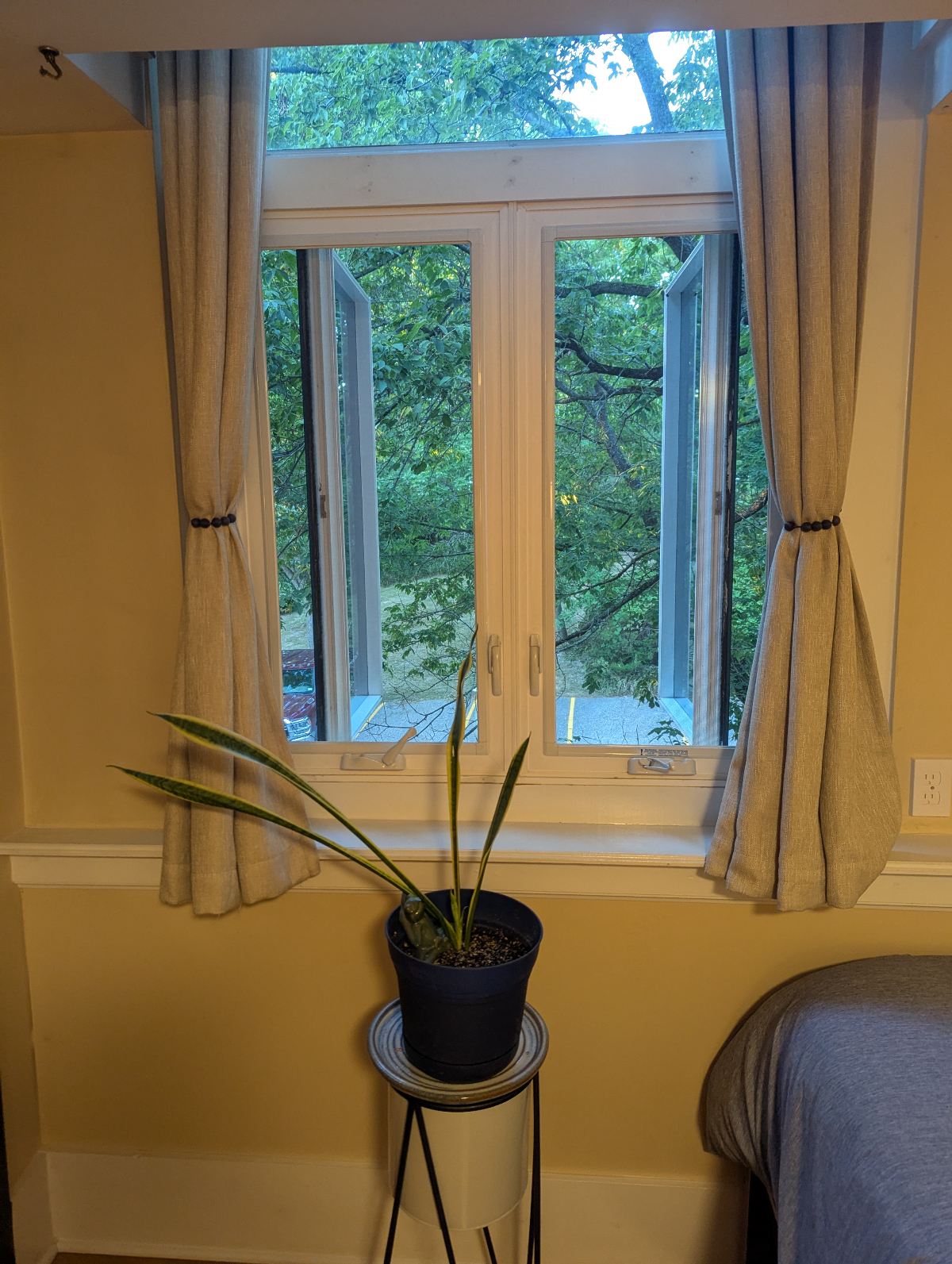 Primary Furnished Bedroom in 2 Bedroom Unit, wood floors, lots of closet space, off-street parking! - Photo 6