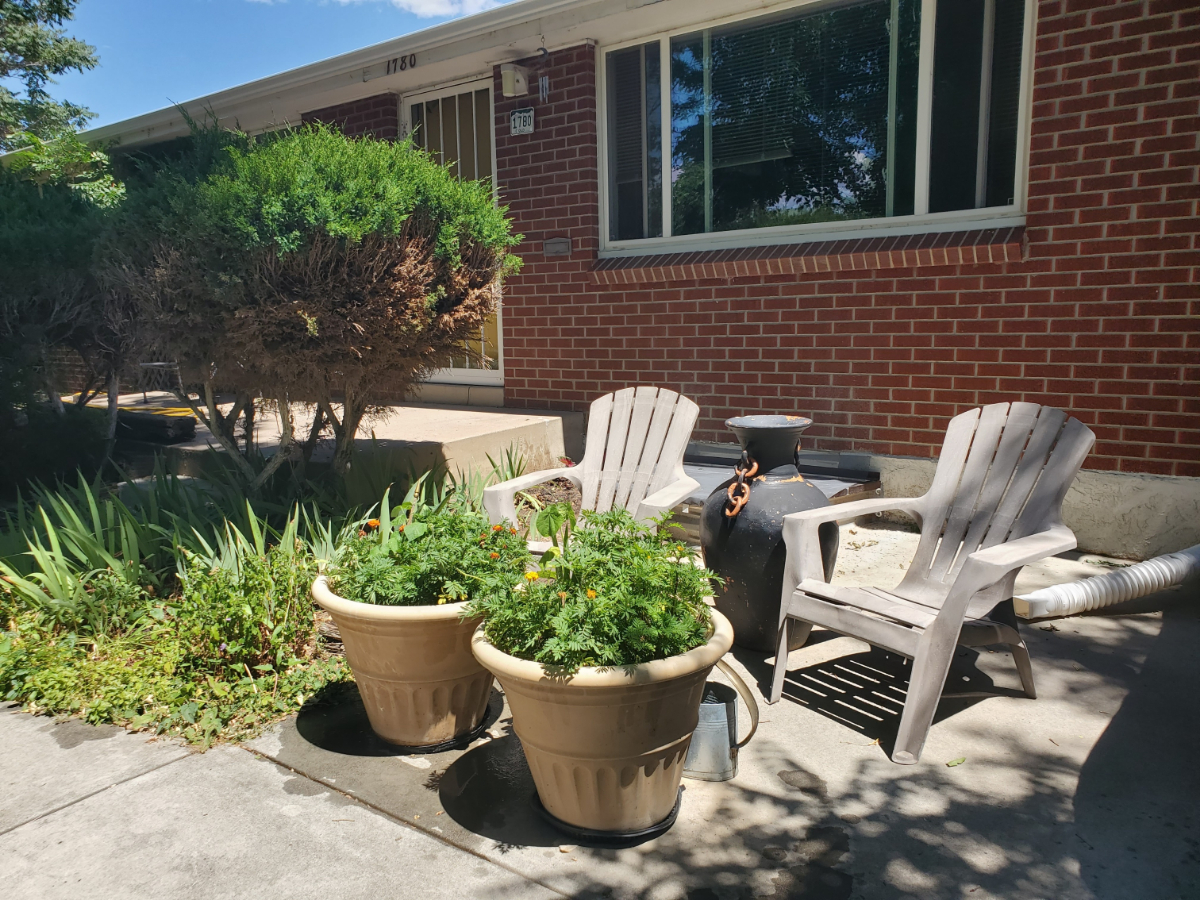 Beautiful Furnished Basement Apartment with All Amenities in Prime Denver Location - Photo 4