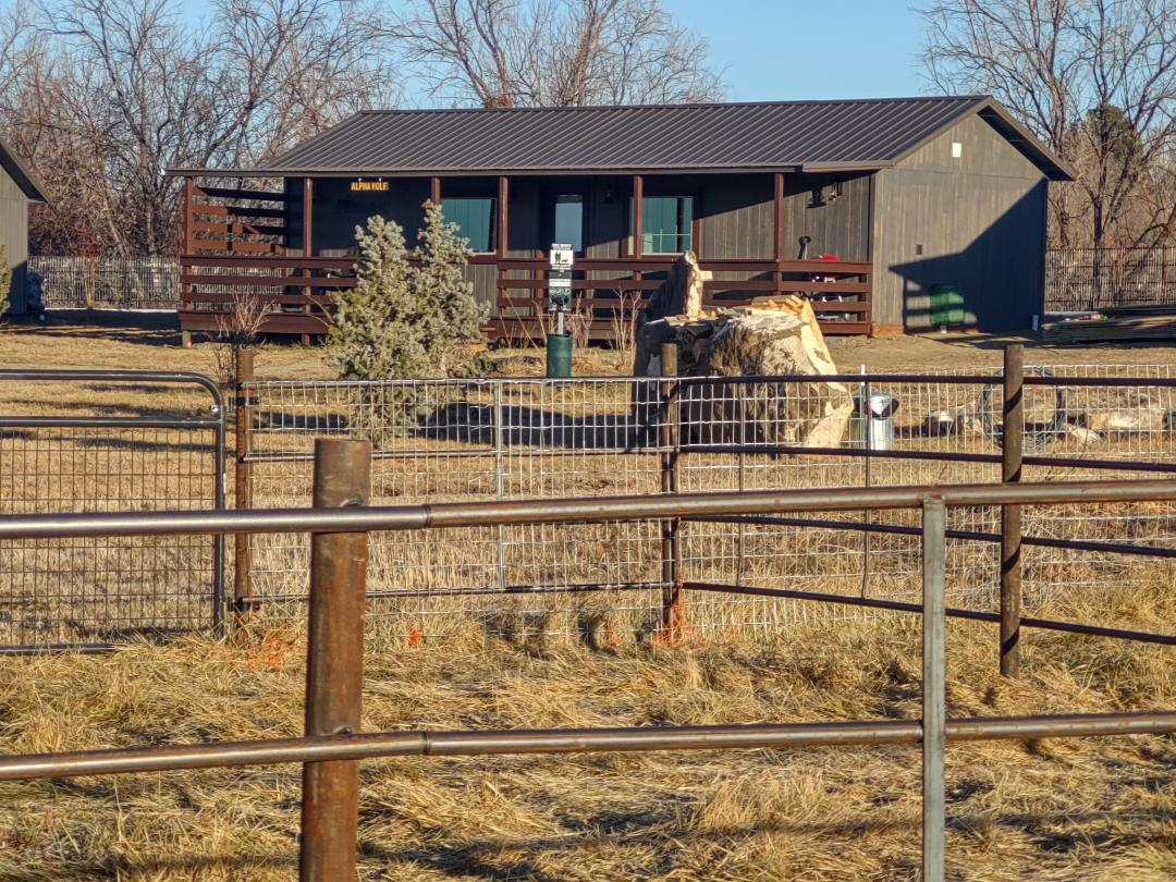 Wolf Haven Cabins-Lone Wolf Cabin - Photo 3
