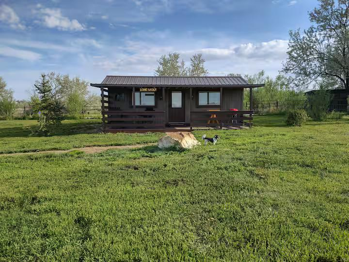 Wolf Haven Cabins-Lone Wolf Cabin - Photo 1