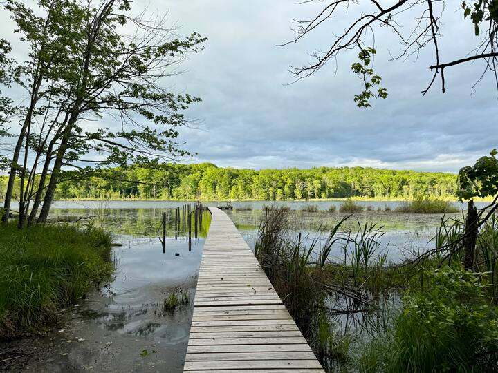 Private Wooded Modern Lakeside Home near Rhinebeck - Photo 1