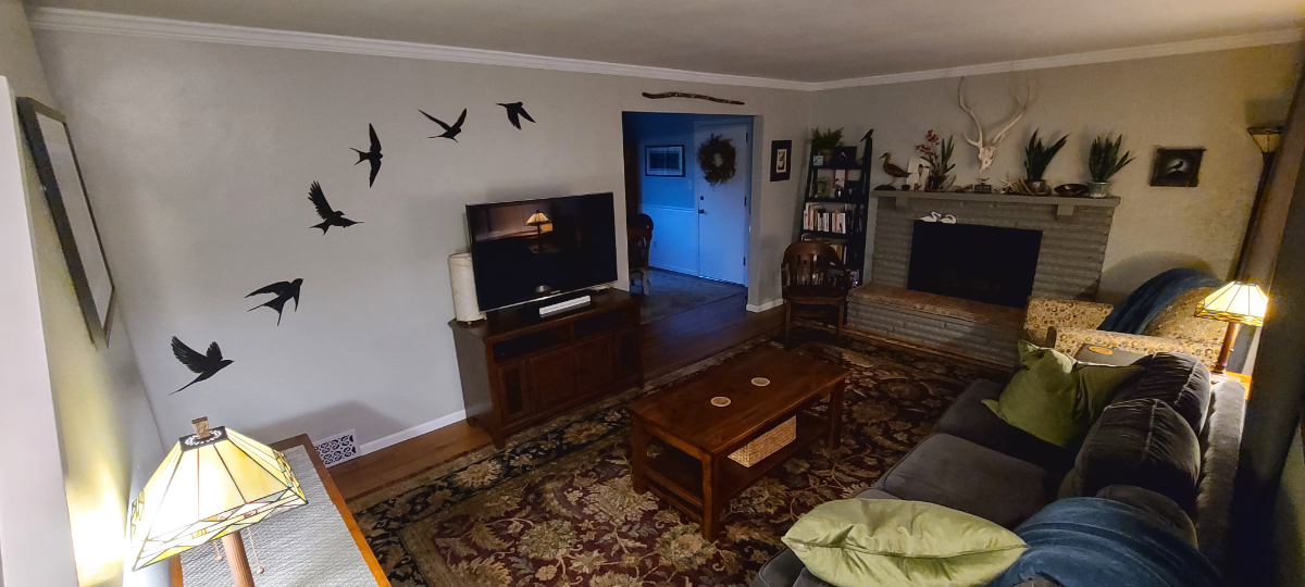 Peaceful Nature Nook, whole house - Photo 3