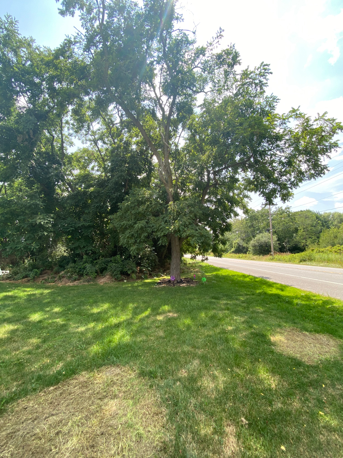 Fully furnished room close  to hospital state park shopping areas - Photo 12