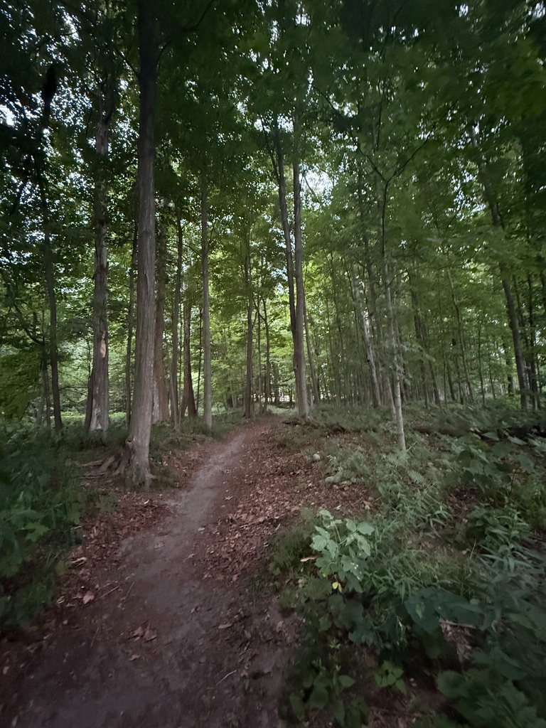 East Middlebury Gem - Photo 11