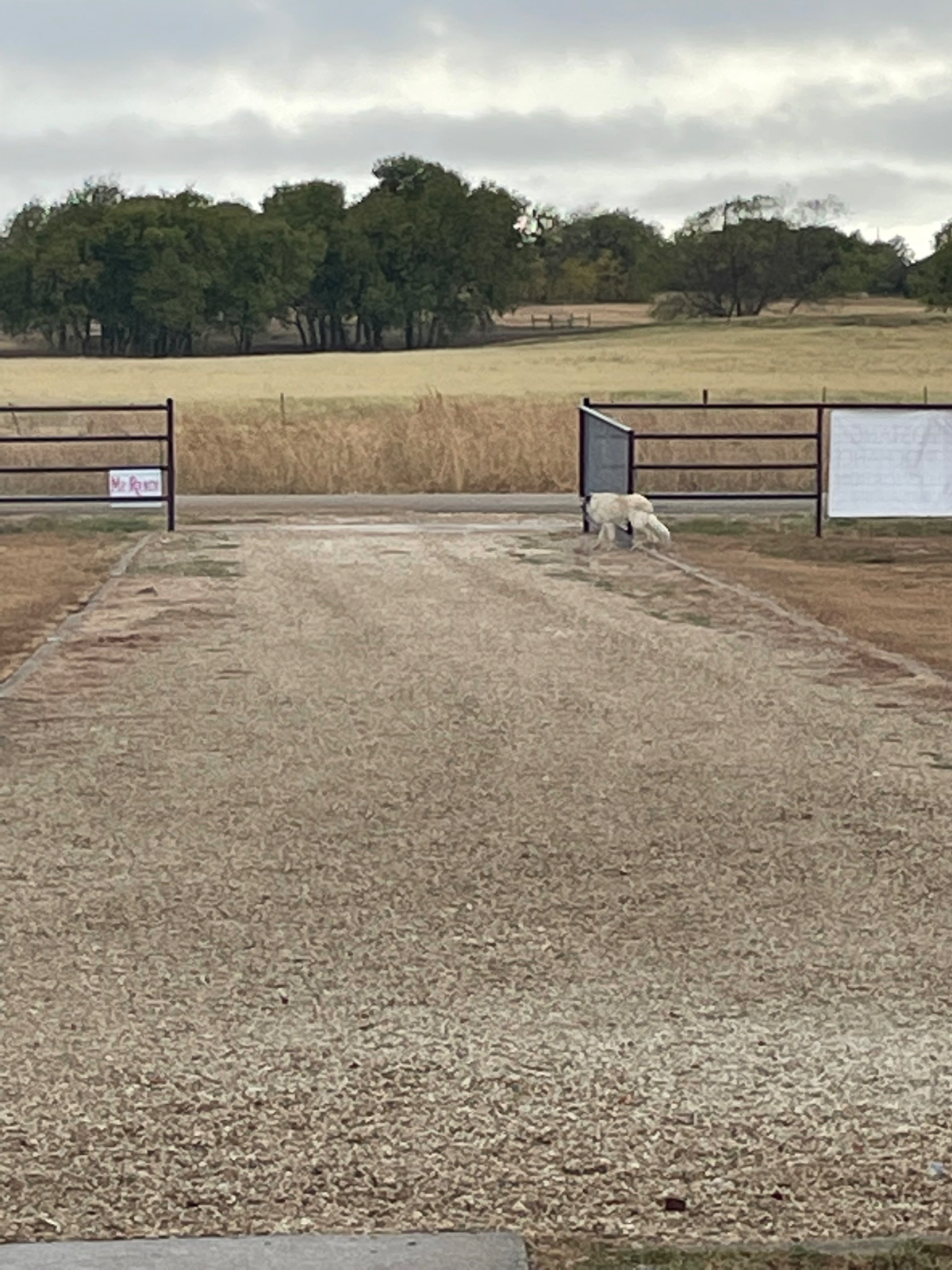 Lone Star Landing - Photo 7