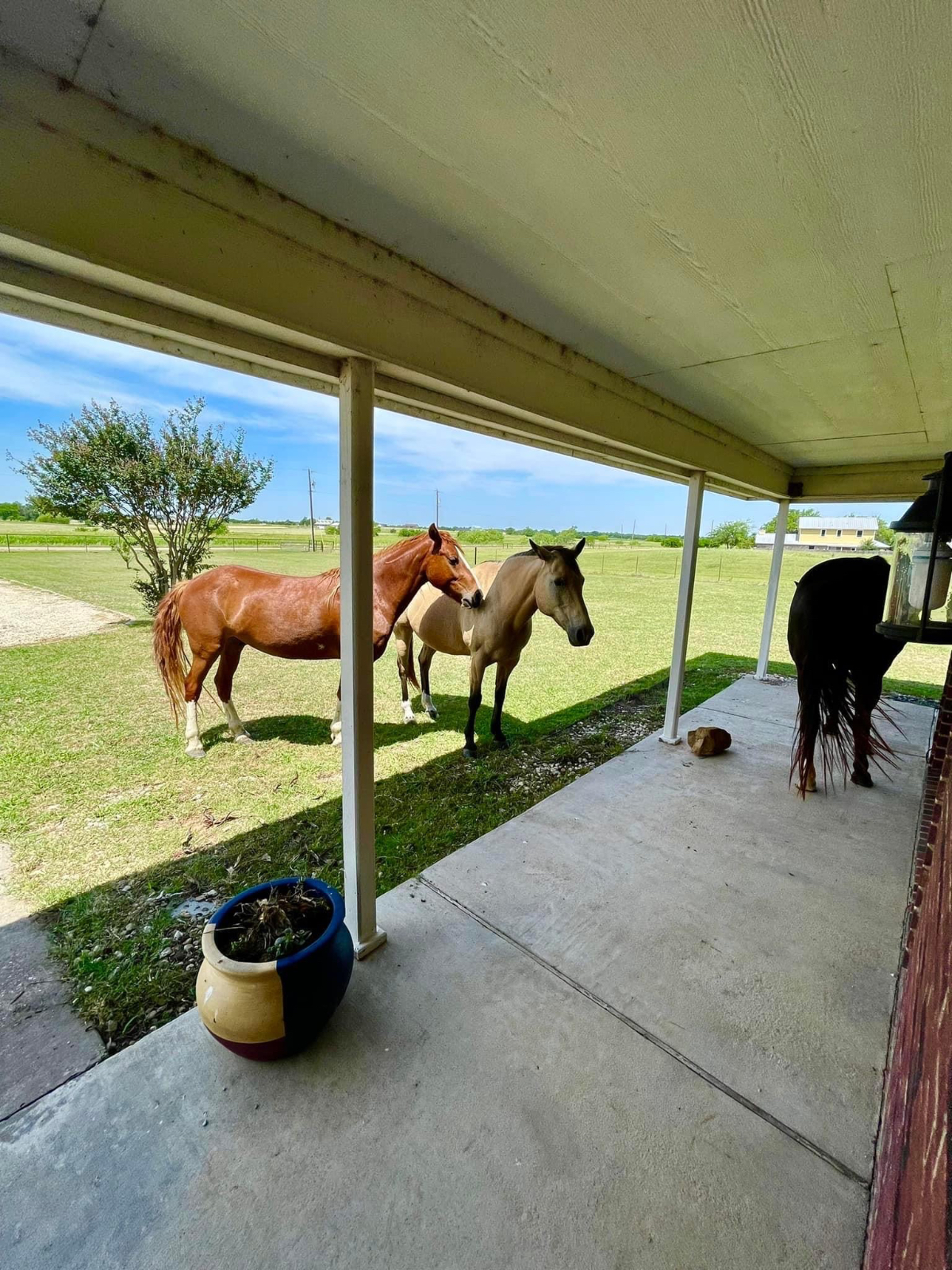 Lone Star Landing - Photo 9