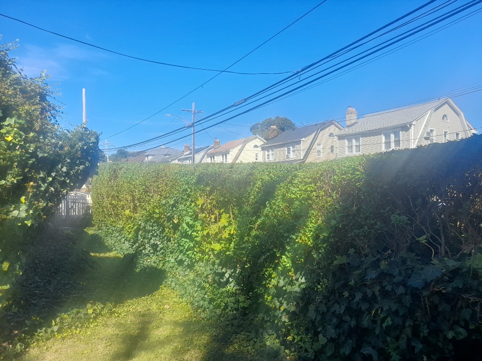 Private Sunny Studio JFK/LaGuadia Queens - Photo 1