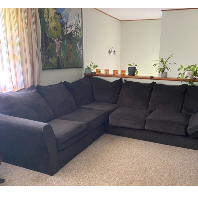 Quiet, Comfortable Room in Owner-Occupied Home - Photo 7