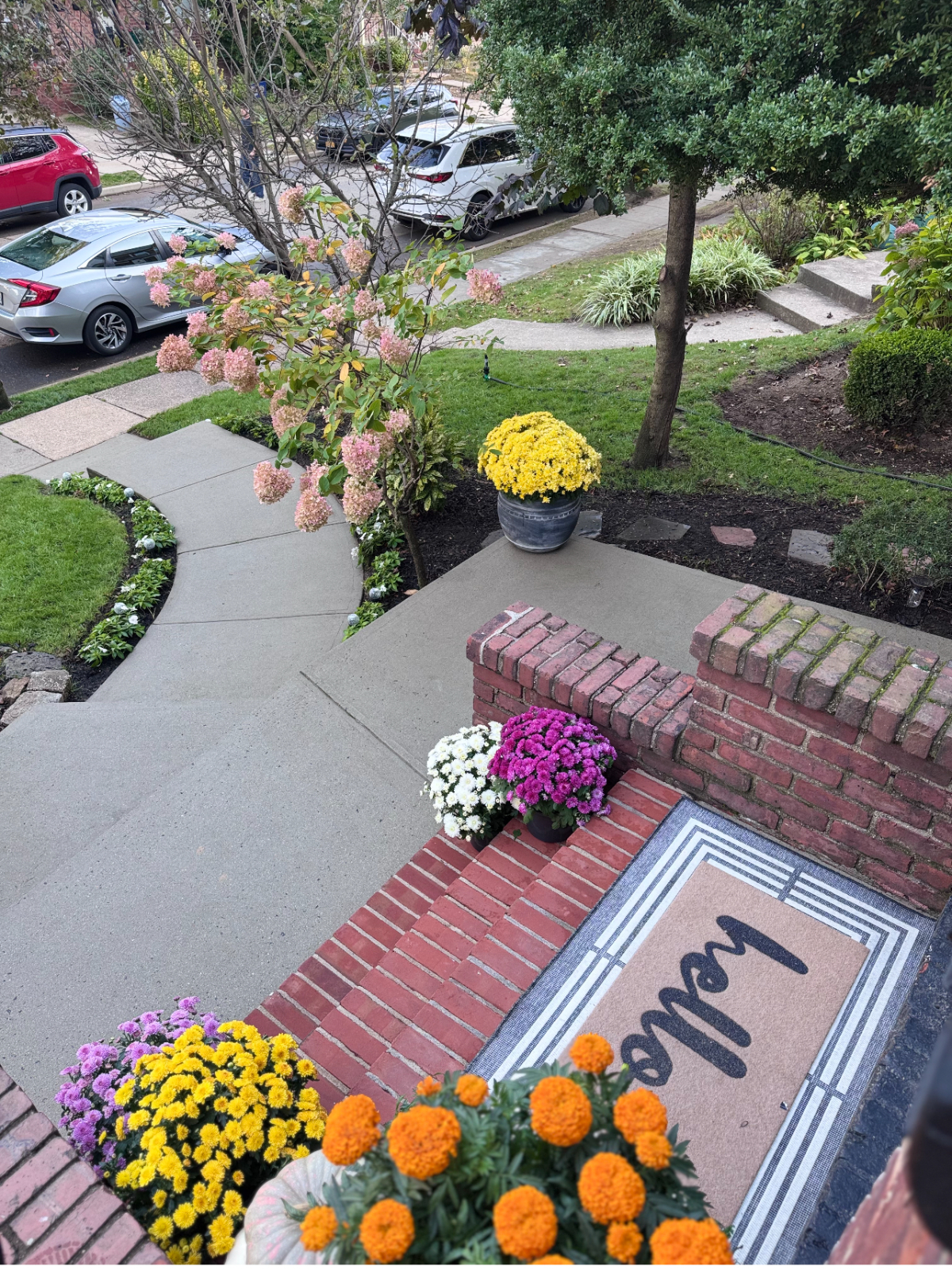 Cozy One-Bedroom Basement Apartment with Patio Near Train Station - Photo 1